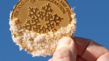J and e hall international gold medal