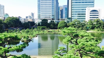 Japanese 1768152 960 720