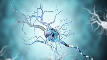 life sciences research