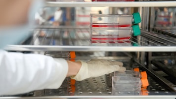 Life Science Incubators