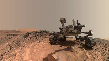 pia19808