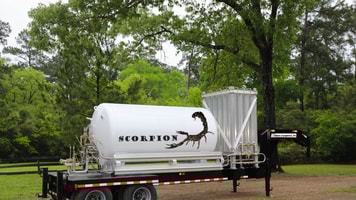 REEXPORTScorpion Photo