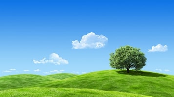 Renewable energy[3]