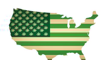 RGB 96_Usa map as green flag with cannabis leaf. Vector image