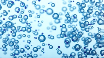 shutterstock_1053410642