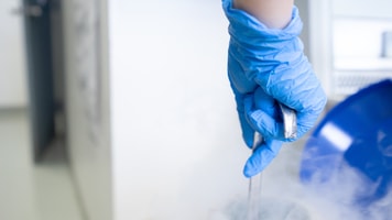 shutterstock_1109314076