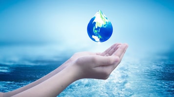 shutterstock_1408323566