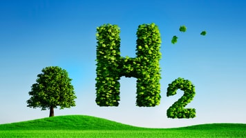 shutterstock_1643363851