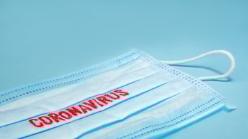 shutterstock_1649240827