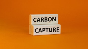 shutterstock_2071294943
