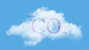 shutterstock_2105137178