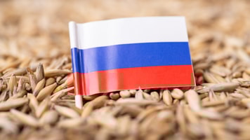 shutterstock_2117246777