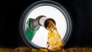 shutterstock_254422699