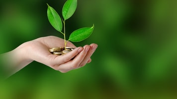 shutterstock_270554015