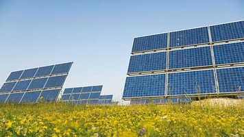 solar panels