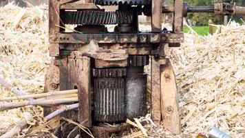 Sugar cane waste is ideal for gasification to produce hydrogen