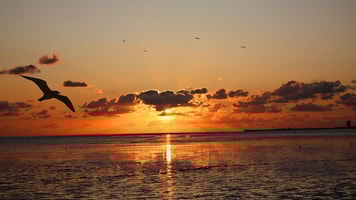 sunset-3915472_960_720