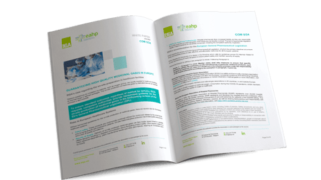 Image showing White Paper Booklet