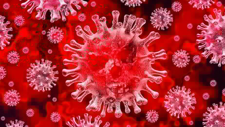 1041792_coronavirus_457335