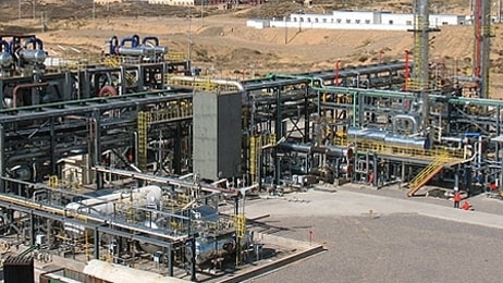 bandvplant