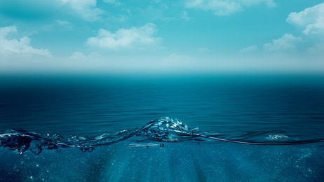 Aquaculture sea