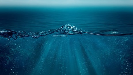 Aquaculture under the sea co2 storage