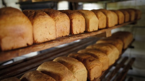 Carbond dioxide, nitrogen bakery bread, food and beverages