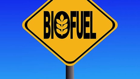 Biofuel sign green