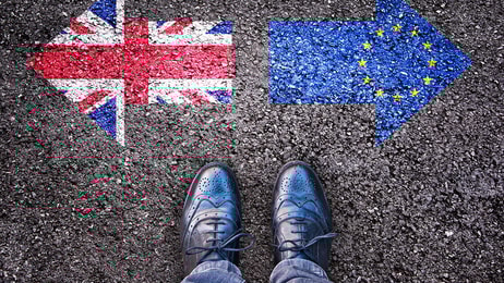 brexit decision