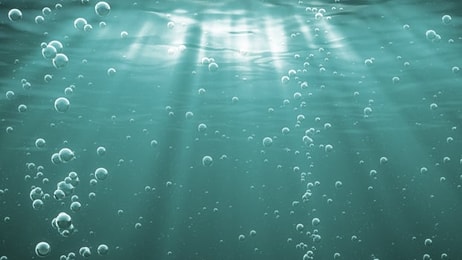 CO2 bubbles aquaculture
