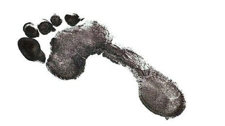Carbon footprint