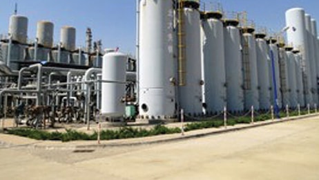 Xinjiang Tianye (Group) Co., Ltd plant.
