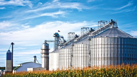 corn dryer silos standing in a field of corn