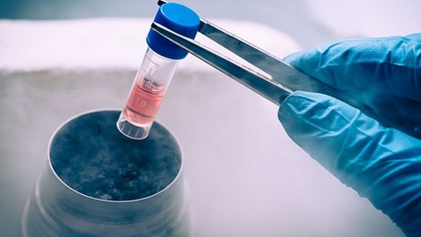 Cryogenic liquid nitrogen in laboratory