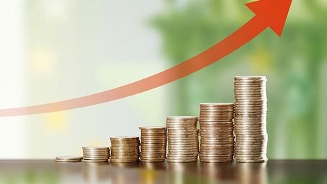 Euro currency financial appreciation