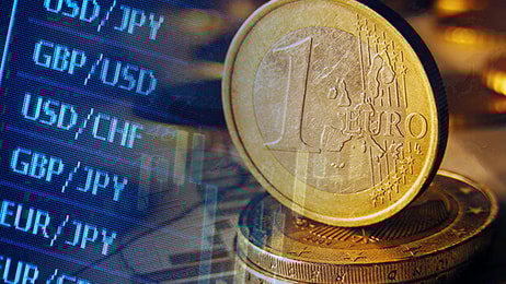 Euro finance currency