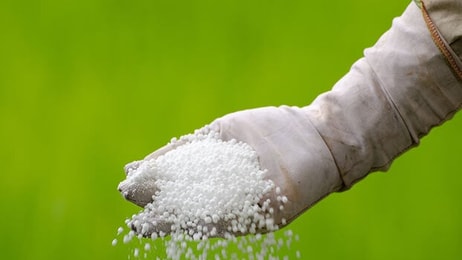 Fertiliser ammonia
