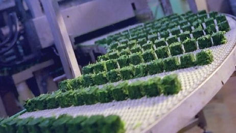 Food processing, freezing