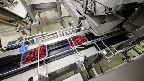 food and beverage processing machines copyright vladimir nenezic