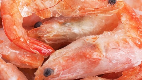 Food, frozen, Fish, prawns