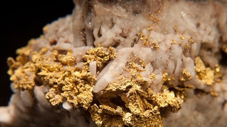 Gold