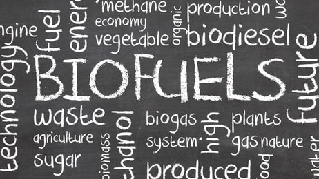Green, Biofuels or Biofuel