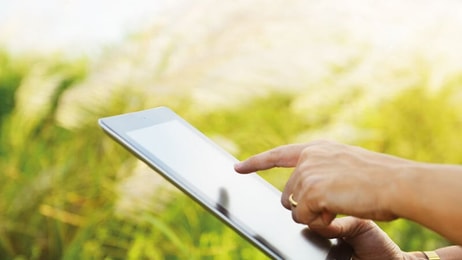 Green, Hands using tablet, computer in green field