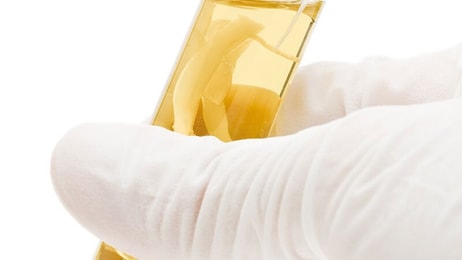 Green, Researcher holding test tube, bio-fuel, soy-bean, sprouts