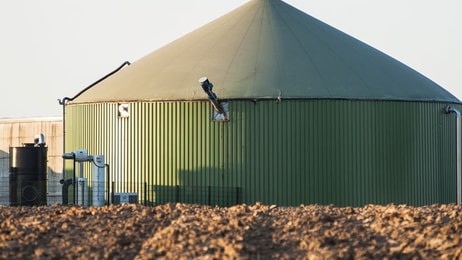 Green, Tank for biomass, to-produce biogas