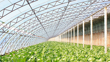 Greenhouse CO2 oxygen green