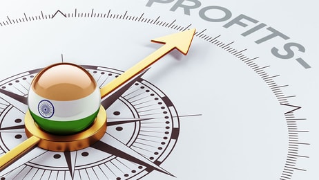 india profit concept