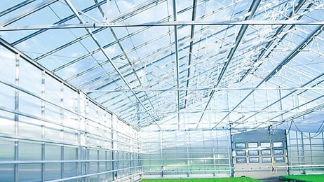 greenhouse CO2 oxygen green