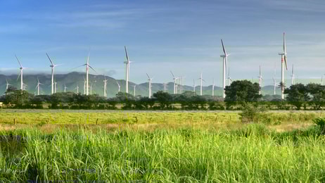 mexico windmills copyright soft light