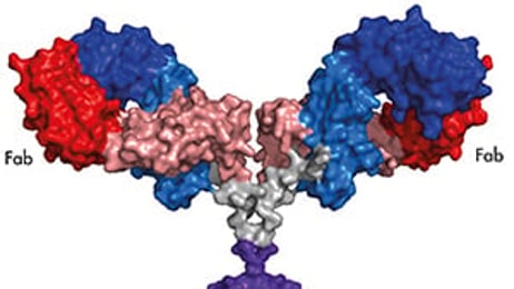 Nmr spectroscopy breakthrough retrieve.cfm